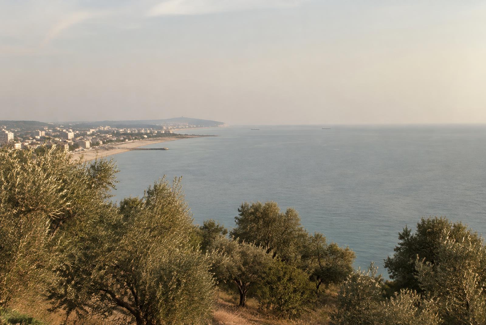 Coastal view of Durrës, Albania with beach curve and olive trees